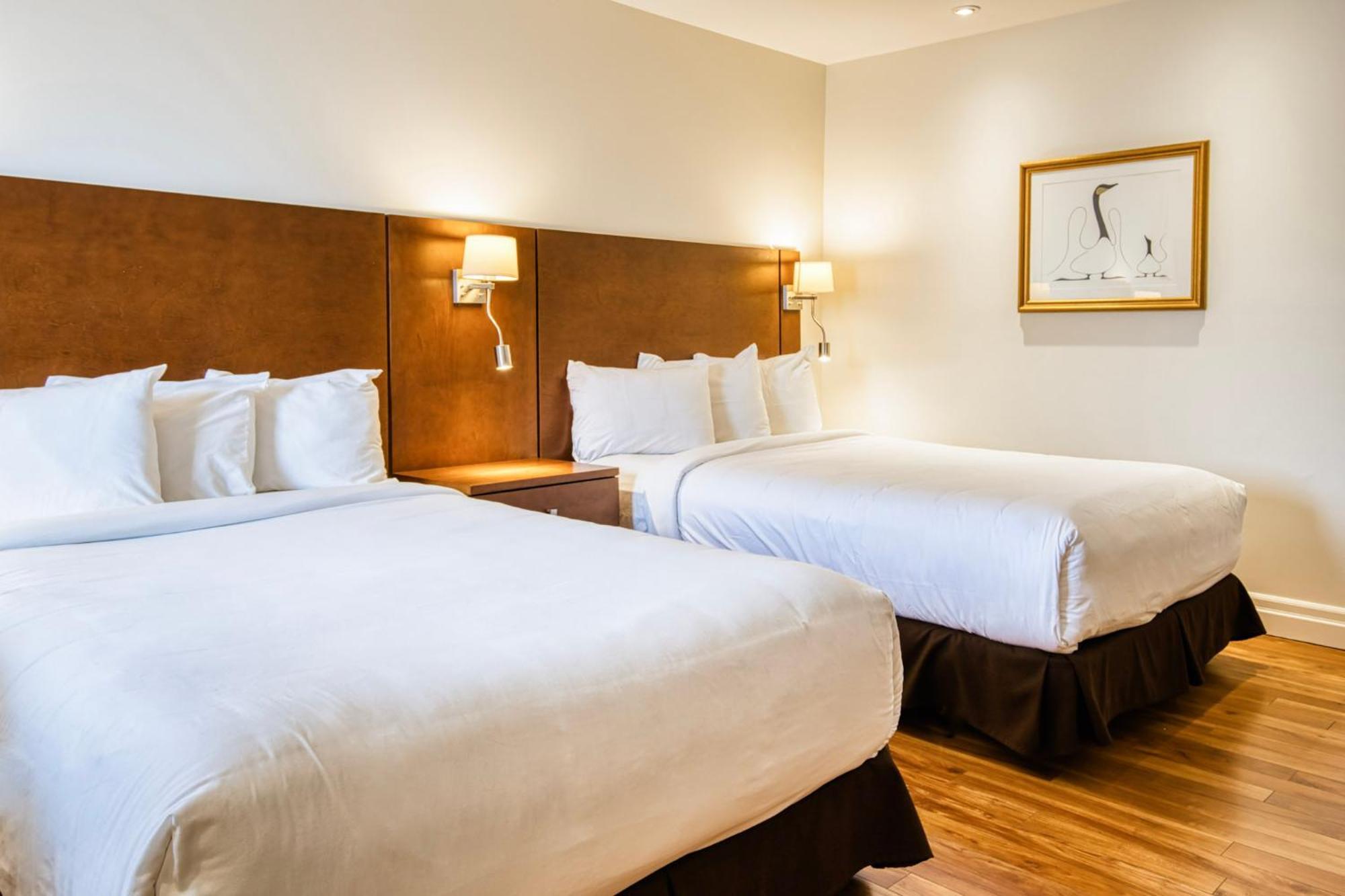 Motel Mistral Rouyn Eksteriør billede